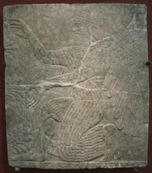 Divinità alata presso l