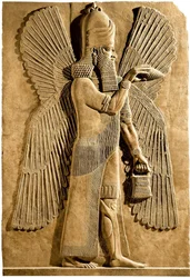 Genio alato. Dettaglio di un rilievo dal palazzo del re assiro Sargon II, 722-705 a.C.