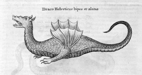 Drago, 1678