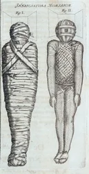 Mummie - in "Sphynx mystagoga" di Athanase Kircher