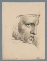 Testa di donna