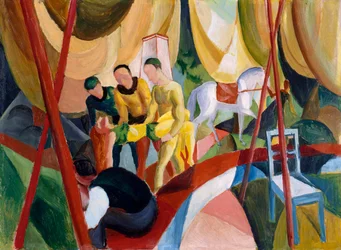 Circo