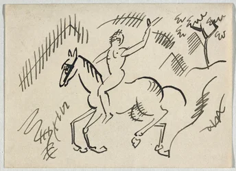 Cavaliere nudo