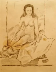 Nudo femminile 70