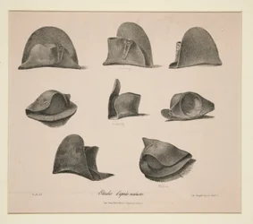 Studi di
