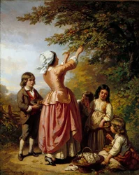 Raccolta