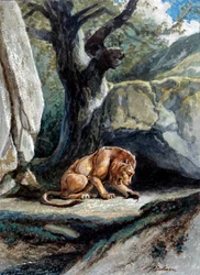 Illustrazione della favola "Il leone e il topo" di Jean de La Fontaine. Acquerello di Auguste Delierre (1829-c.1890)