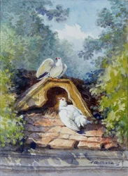 I due piccioni acquerellati di Auguste Delierre per la favola di Jean de la Fontaine (XIX secolo). Chateau Thierry. Museo La Fontaine