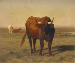 Bestiame nel paesaggio