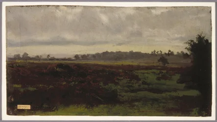 Paludi, metà degli anni 1850