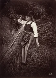 Contadino
