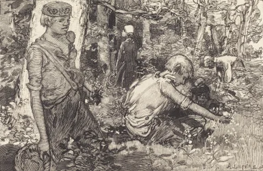Raccolta del mughetto