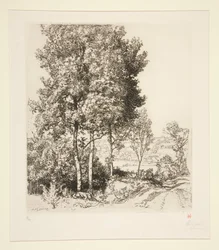 La valle del Petit Morin vicino a Verdelot (Seine-et-Marne)