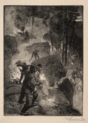 Bruciatori di felci