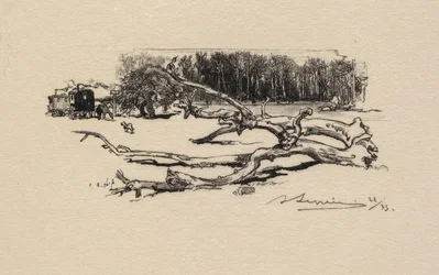 Foresta di Fontainebleau: Incrocio dell