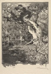 Foresta di Fontainebleau: Le Clovis, Plateau de Bellecroix La Forêt de Fontainebleau..., 1890