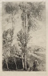 Il piccolo stagno