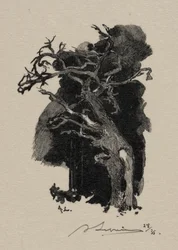 Il rabbioso