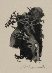 Il Furioso