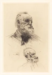 Victor Hugo, di tre quarti, 1884
