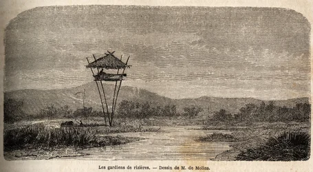 Una guardia del riso, vicino a Batavia. Disegno di M. de Molins, per illustrare il suo viaggio a Giava