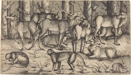 Cervi nella foresta