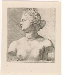 Busto di Venere de
