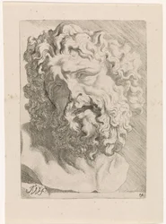 Testa di Laocoonte