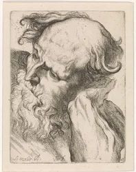 Testa di un vecchio (Giuseppe)