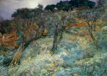 oliveto, di Augusto Corelli (1853-1910)