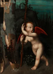 Cupido con un mirto