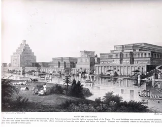 Ninive restaurata, illustrazione da 
