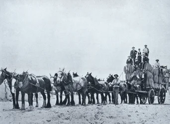 Squadra di trasporto della lana, Australia occidentale, c.1900, da 