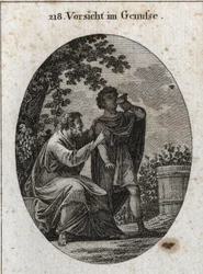 Allegoria della cautela mentre si gode. Un filosofo ci avverte che la vite produce tre tipi di uva: quella del piacere, quella dell