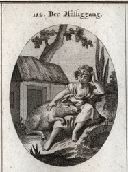 Allegoria dell