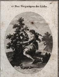 Allegoria della soddisfazione amorosa rappresentata da un grazioso adolescente inginocchiato davanti a un cuore al centro di un roseto fiorito le cui rose e spine alludono ai dolori e alle dolcezze dell