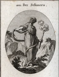 Allegoria del dolore. Un serpente mostruoso avvolge chi, dopo aver legato i suoi piedi, sale sul suo corpo e cerca di mordergli il cuore. Tiene una torcia che ancora fuma, il che significa che l