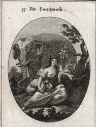 Allegoria della dolcezza o mansuetudine, corona di ulivi simbolo di pace.