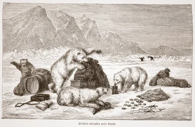Gli orsi polari attaccano i nostri bagagli, pub. Vienna 1876
