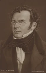 Ritratto di Franz Schubert