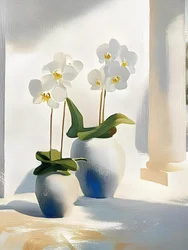 Eleganti orchidee bianche
