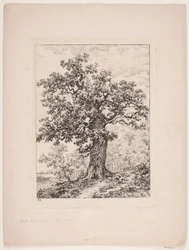La quercia di Niels Ebbesen. Bosco di Gyllingnæs
