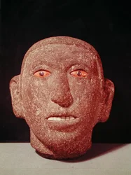 Testa di un uomo