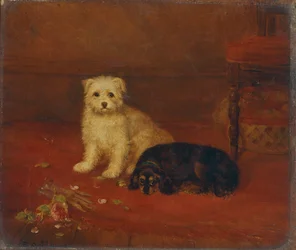 Bad e Bijou