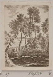 Parte della foresta