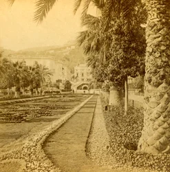Monte Carlo, vista dal Casinò, 1897