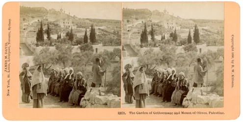 Il giardino del Getsemani e il Monte degli Ulivi, Palestina, 1898