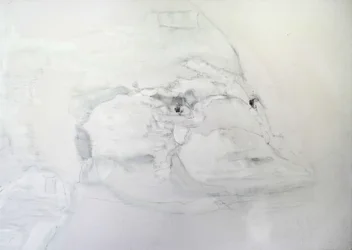 Ornitorinco