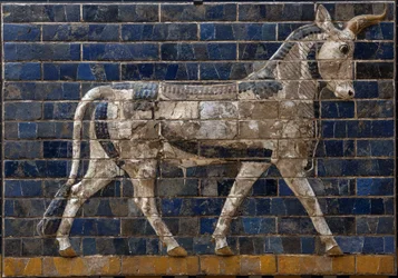 Toro sacro - rilievi in mattoni smaltati della Porta di Ishtar - Babilonia - 604-562 a.C. - periodo di Nabucodonosor - Museo Archeologico di Istanbul - Un toro, dettaglio di mattoni smaltati raffiguranti animali mitologici che adornavano la Via