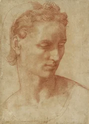 Testa di una donna